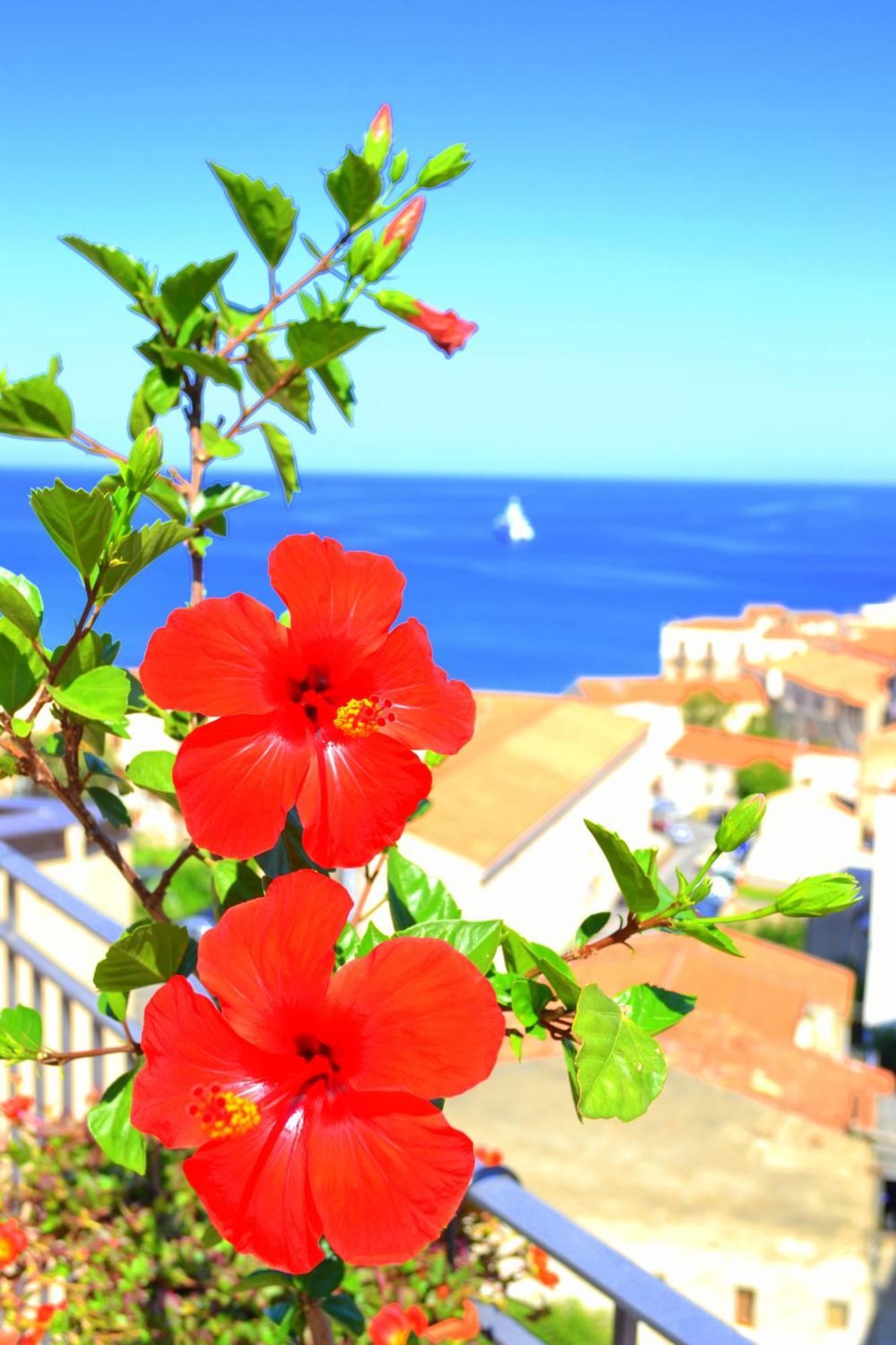 Bed and Breakfast Scirocco Cefalú Exterior foto